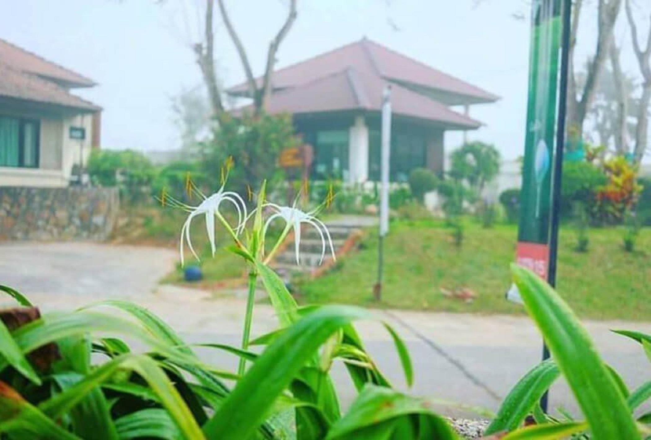 Pattaya Country Club & Resort Ban Pong  Exterior foto